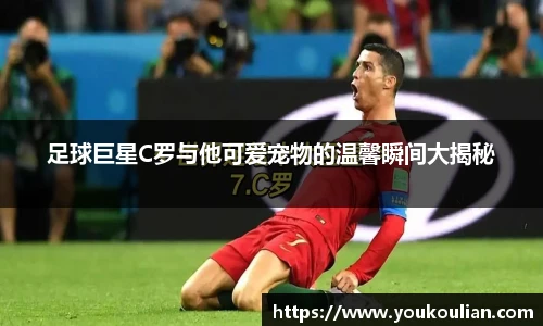 芒果体育官方网站